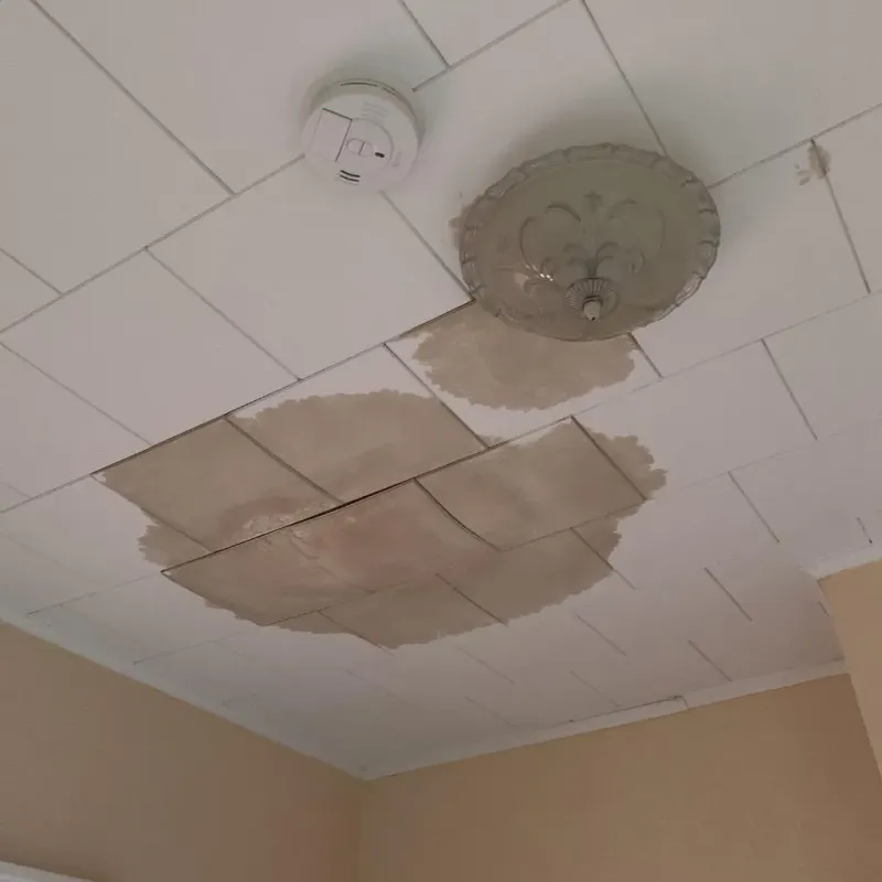Ceiling Water Damage Repair in New California, OH
