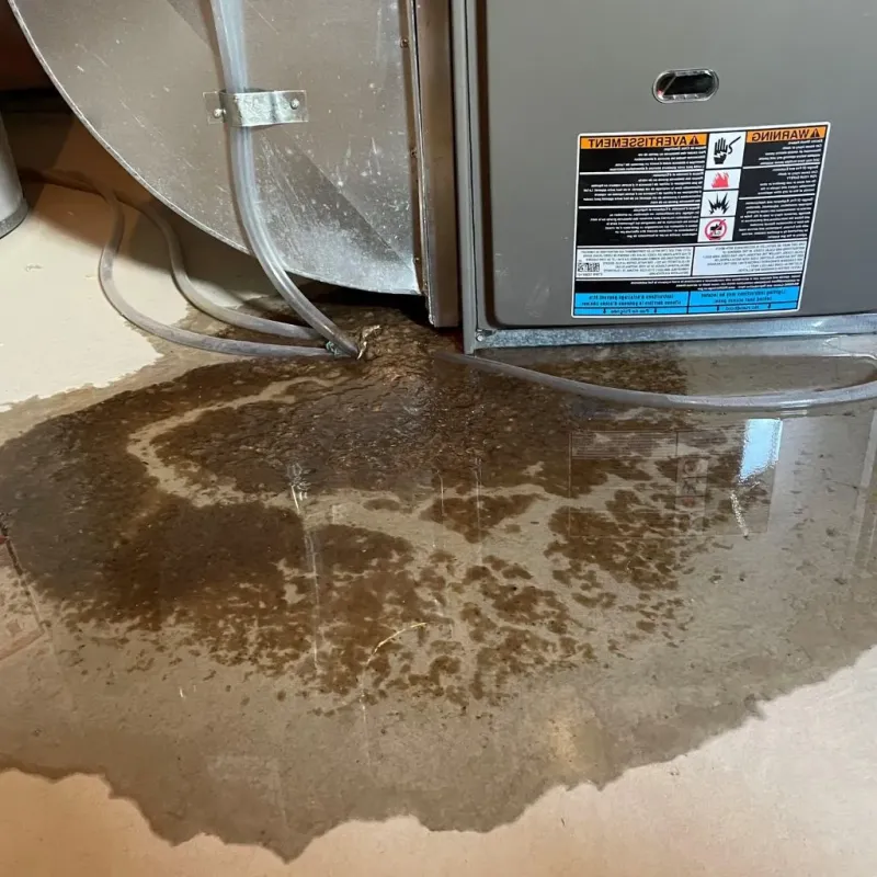 Pipe Burst and Leak Restoration in New California, OH