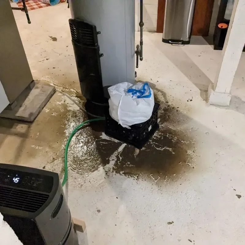 Sewage Backup Cleanup Service in New California, OH
